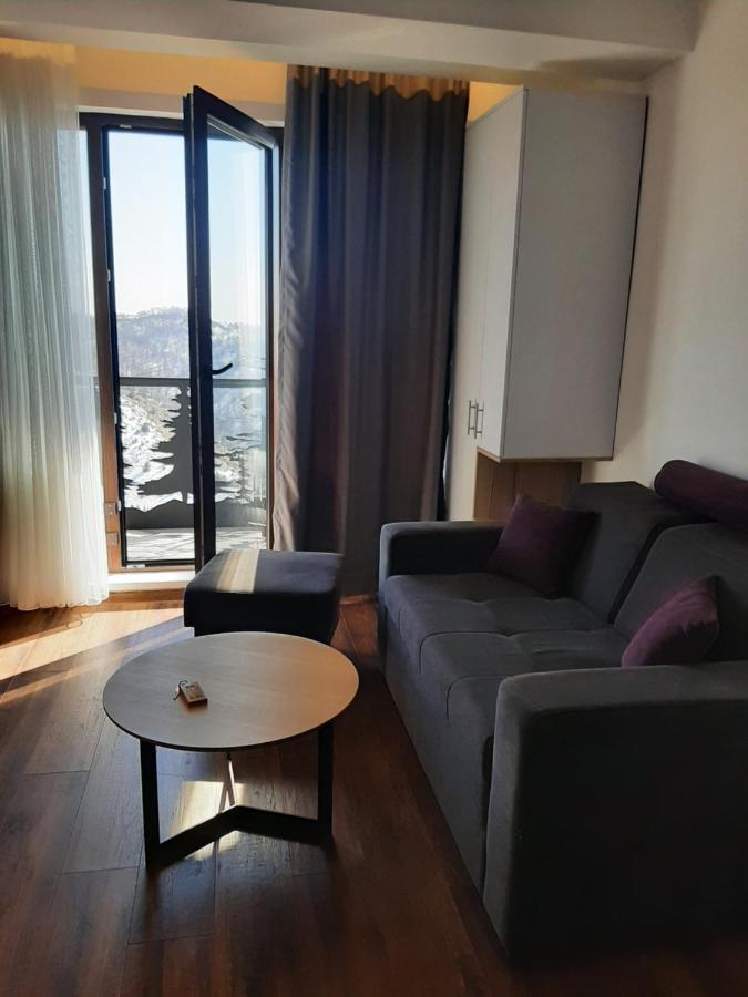 Apartament Vihor A21 Kopaonik Zewnętrze zdjęcie